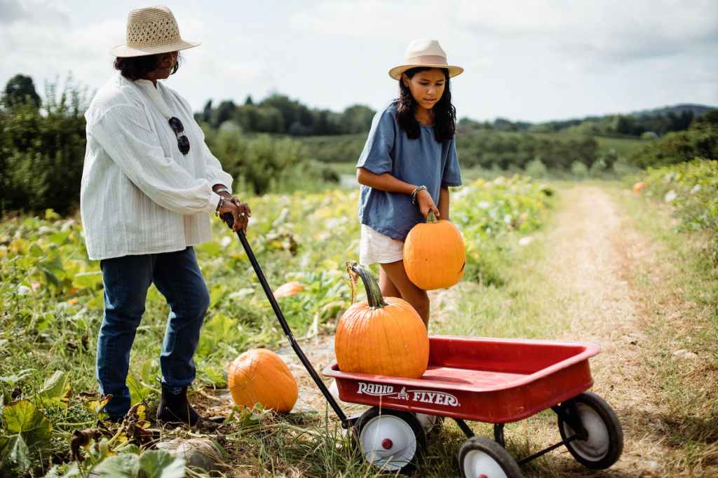 What type of farming makes the most&nbsp;money?